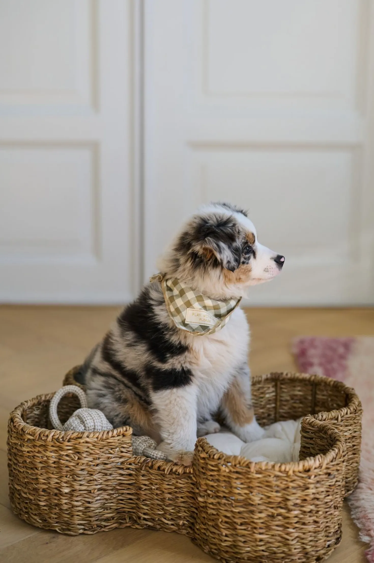 Hundbädd natur - 40x50x15 cm