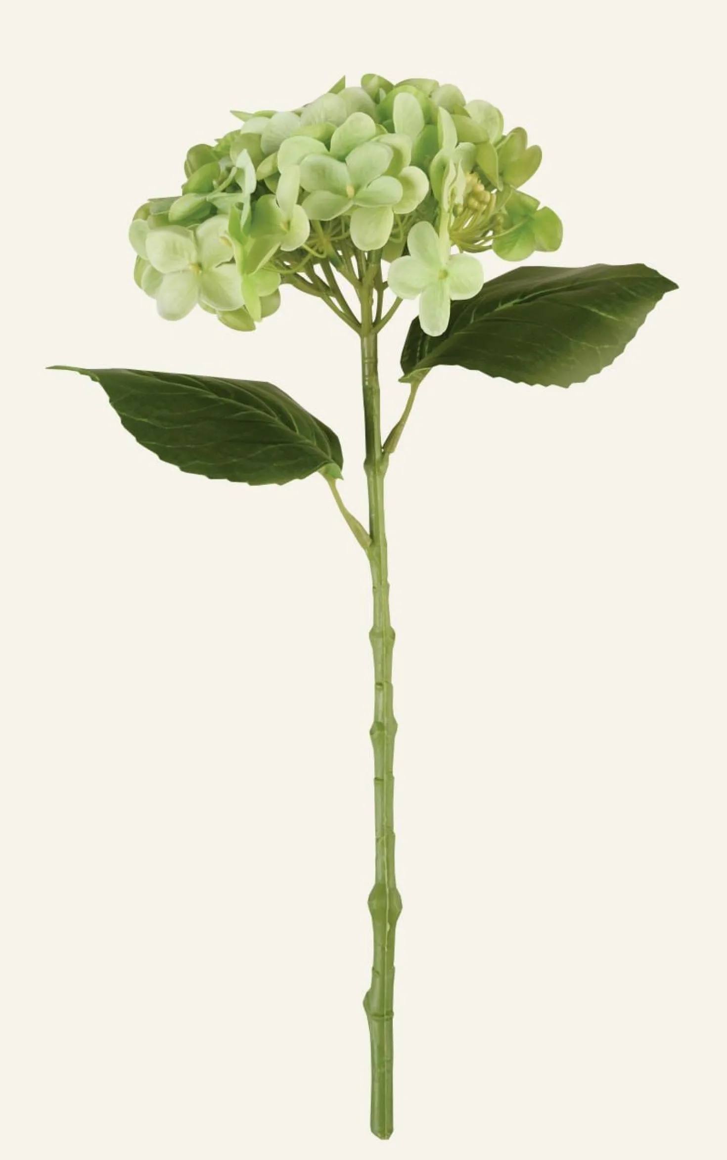 Konstgjord blomma grön - 23x16x38 cm