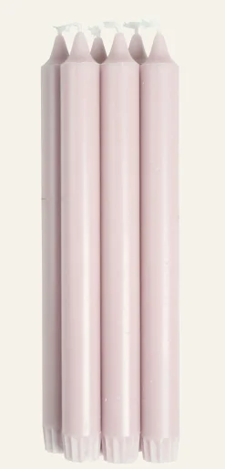 Kronljus engelska ros - 24 cm
