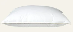 Låg dunkudde vit - 50x60 cm